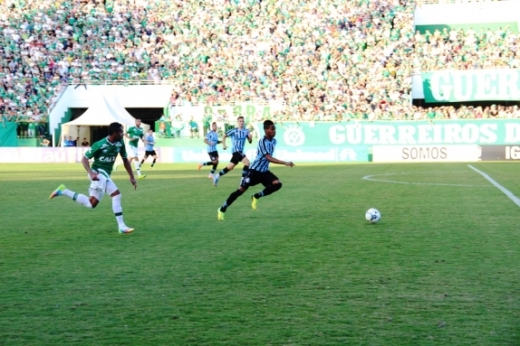 Chapecoense foi derrotada em casa pelo Grêmio e segue sem vencer na elite nacional. Foto: Divulgação ACF